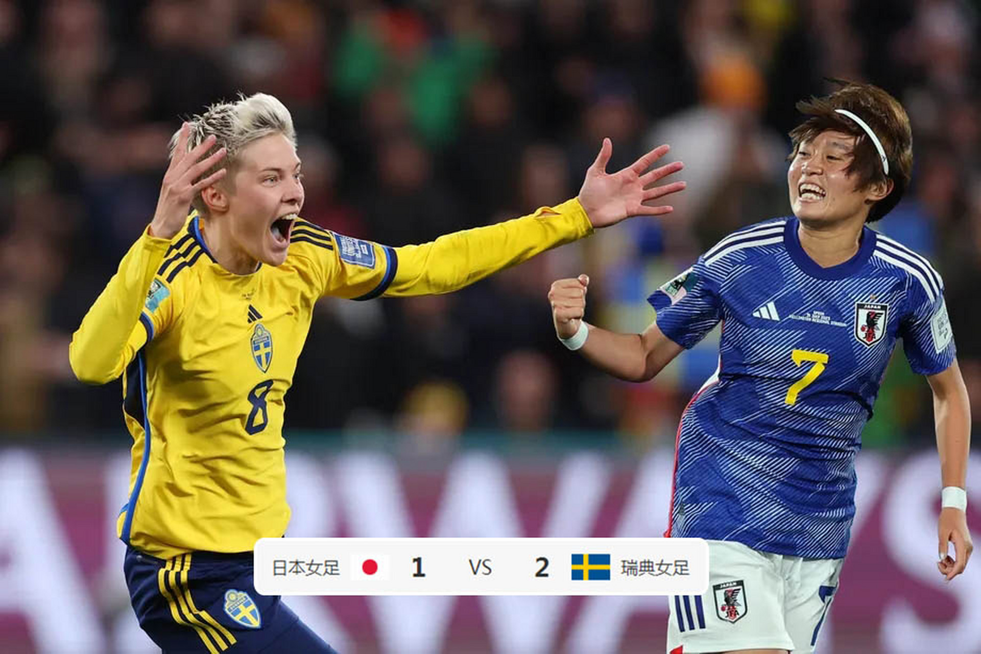 乐鱼体育app-瑞典队鏖战日本队，波尔带队取胜